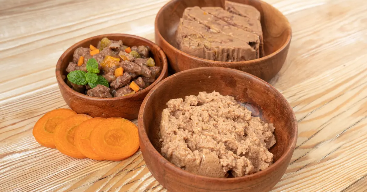 Profesjonalne artykuły dla czworonogów: Jak stworzyć idealny artykuł dla miłośników psów i kotów